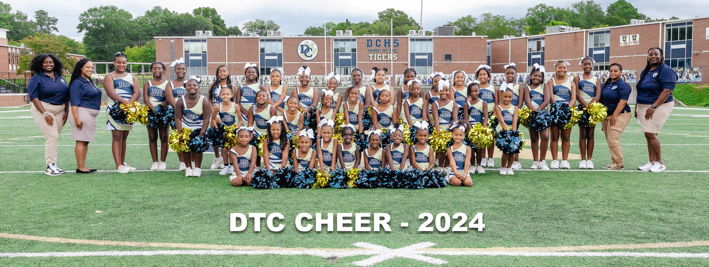 Douglasville Tiger Cubs cheer squad in navy and gold uniforms posing on the field